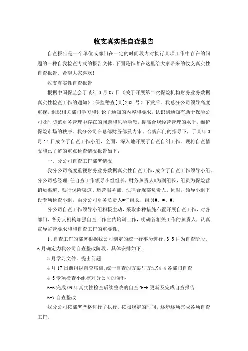收支真实性自查报告