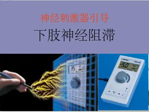 下肢神经阻滞ppt课件