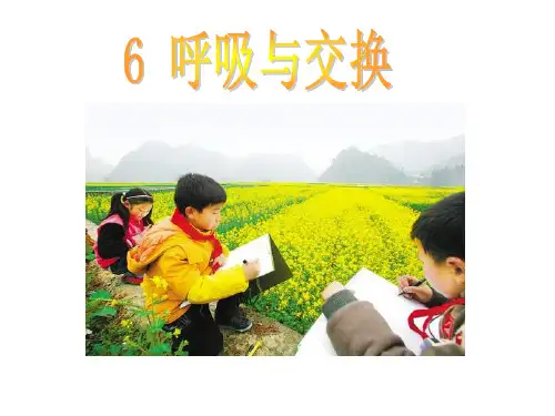 冀教小学科学六下册《6呼吸与交换》PPT课件2