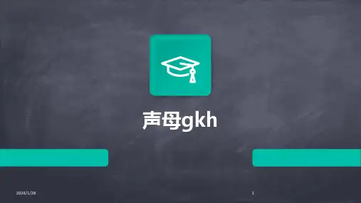 声母gkh(2024)