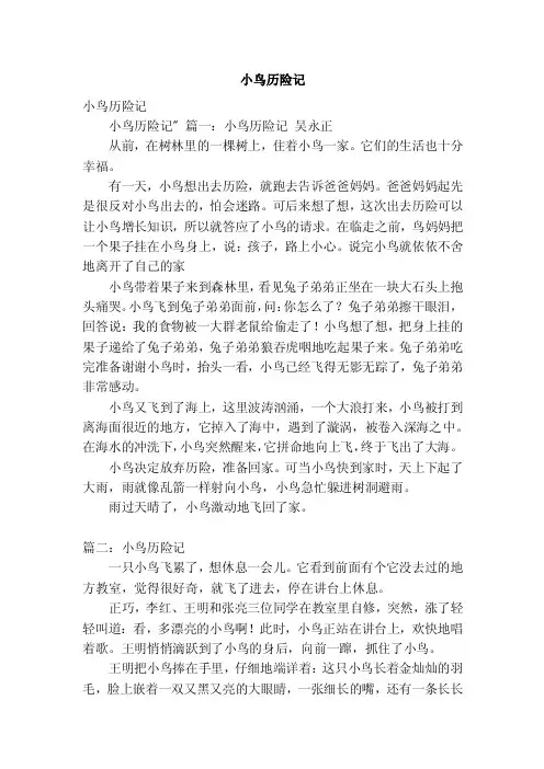 小鸟历险记——精选推荐