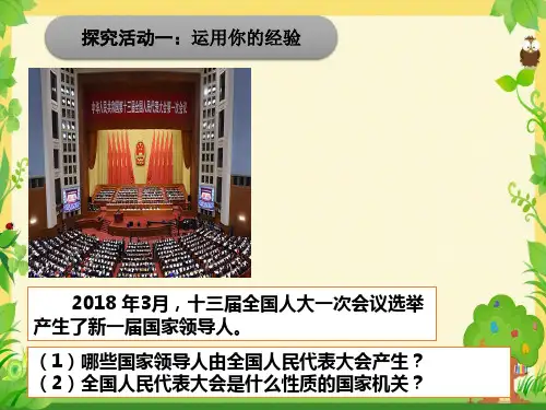 人教部编版八年级下册道德与法治6.1国家权力机关3