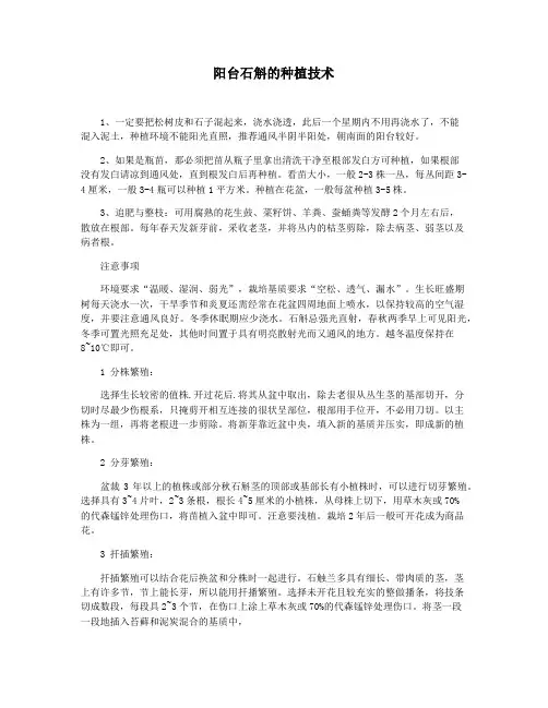 阳台石斛的种植技术