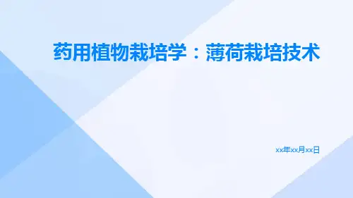 [药用植物栽培学]薄荷栽培技术
