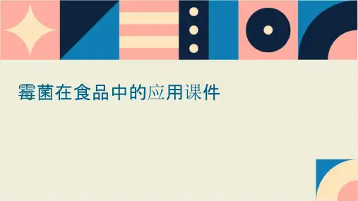 霉菌在食品中的应用课件