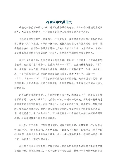探索汉字之美作文