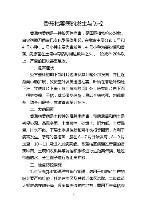 香蕉枯萎病的发生与防控
