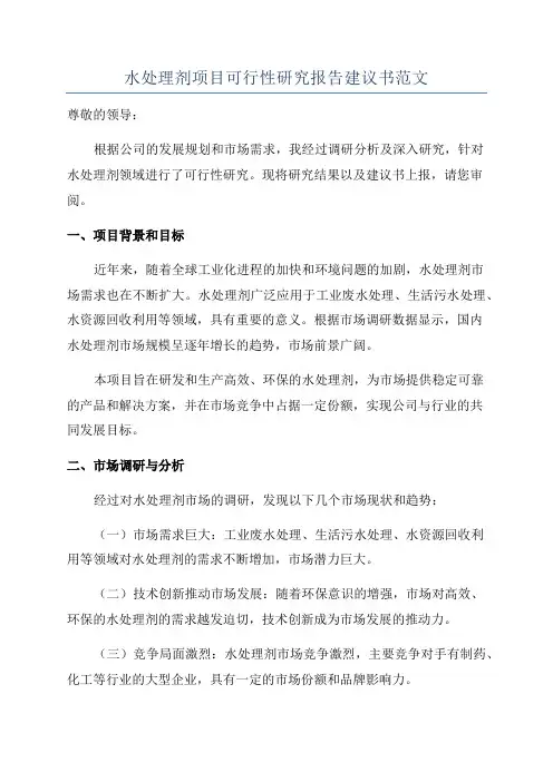 水处理剂项目可行性研究报告建议书范文 2