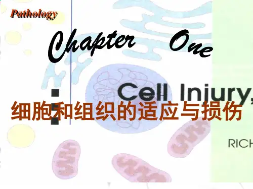 病理学课件：细胞和组织的适应与损伤