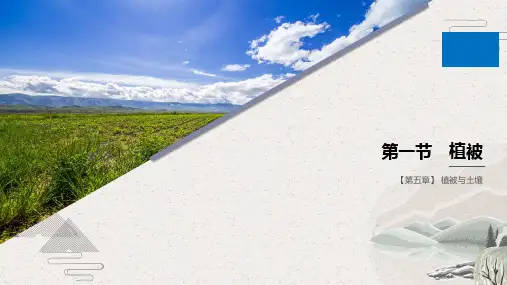 2019-2020学年新教材导学同步人教版(2019)地理必修第一册课件：第5章 植被与土壤 (共2份)