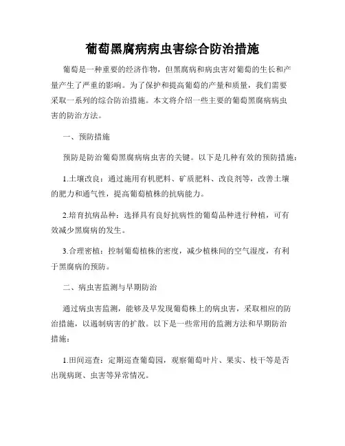 葡萄黑腐病病虫害综合防治措施