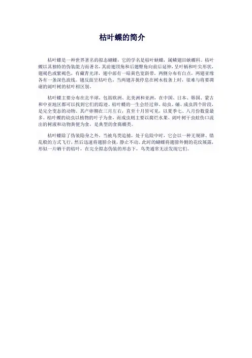 枯叶蝶的简介