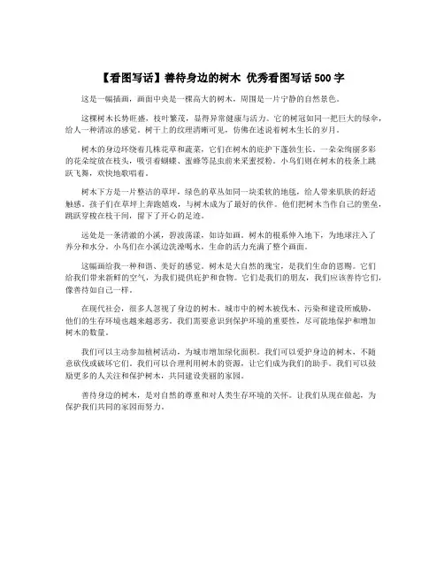 【看图写话】善待身边的树木 优秀看图写话500字