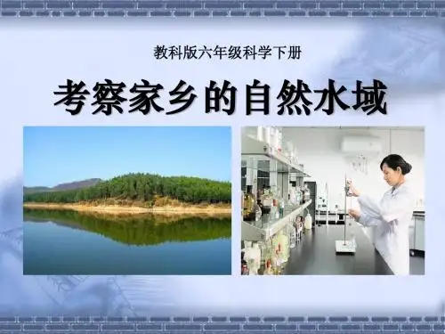 《考察家乡的自然水域》环境和我们PPT课件4