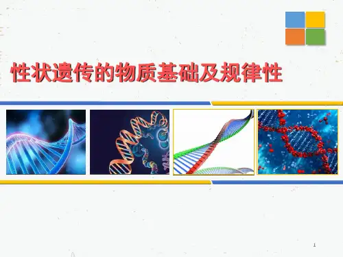 北师大版初中生物八年级上册 第六单元第二十章第三节 性状遗传有一定的规律性 课件(共19张PPT)