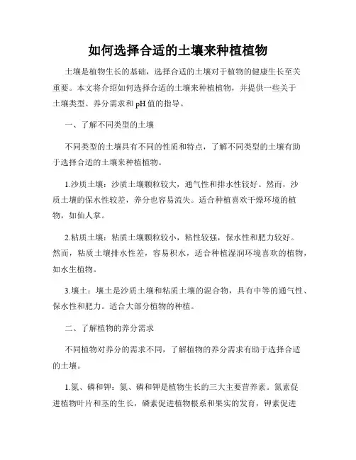 如何选择合适的土壤来种植植物