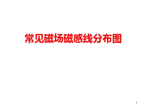 常见磁场磁感线分布图PPT课件