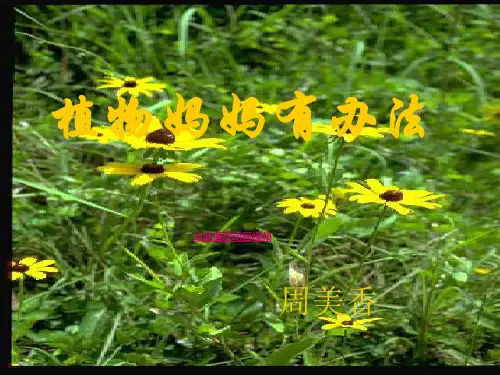 植物妈妈有办法人教新课标二年级语文上册