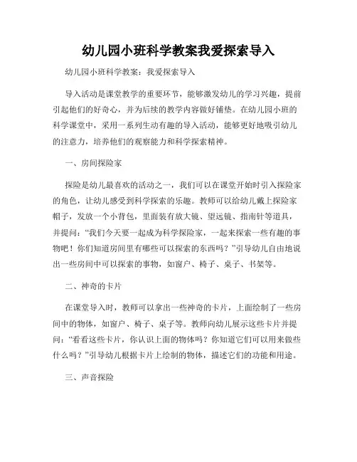 幼儿园小班科学教案我爱探索导入