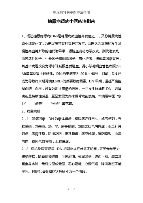 糖尿病肾病中医防治指南