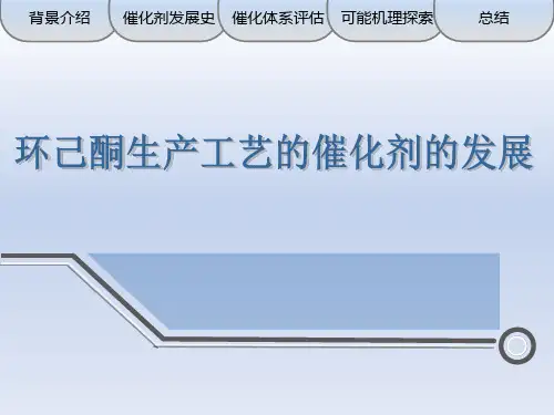 环己酮生产工艺的催化剂分解