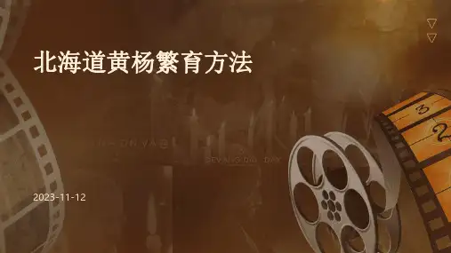 北海道黄杨繁育方法