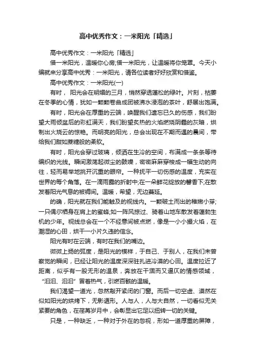高中优秀作文：一米阳光「精选」