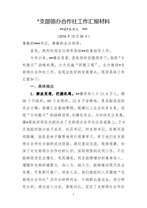 党支部领创办合作社汇报(样稿)