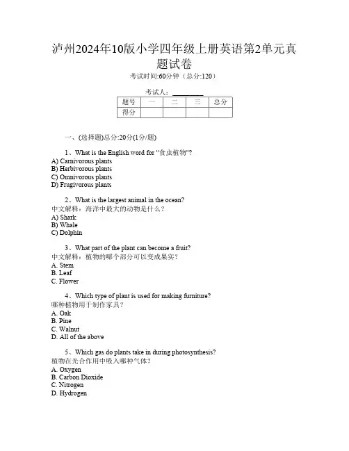 泸州2024年10版小学四年级上册J卷英语第2单元真题试卷