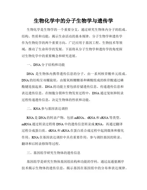 生物化学中的分子生物学与遗传学