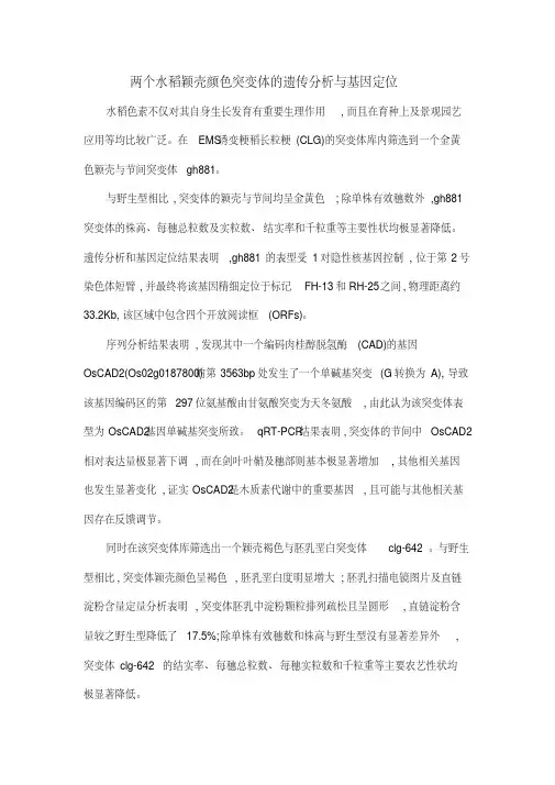 两个水稻颖壳颜色突变体的遗传分析与基因定位