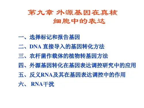 第九章外源基因在真核细胞中的表达