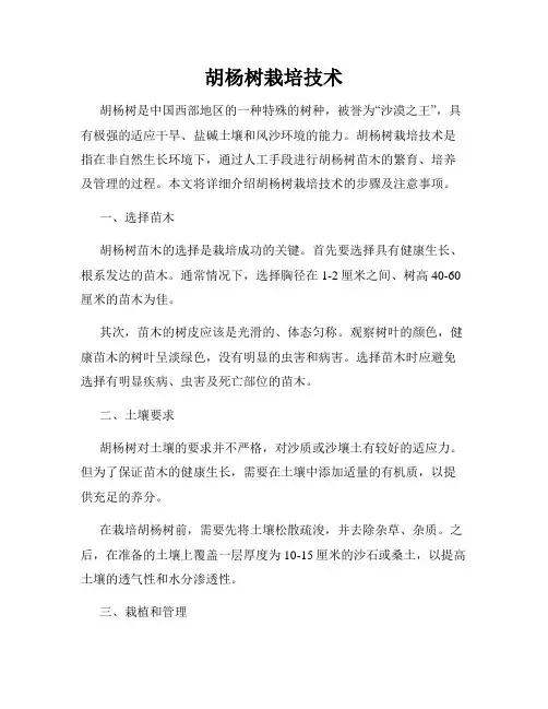 胡杨树栽培技术