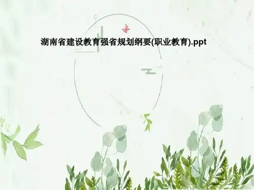 湖南省建设教育强省规划纲要(职业教育)