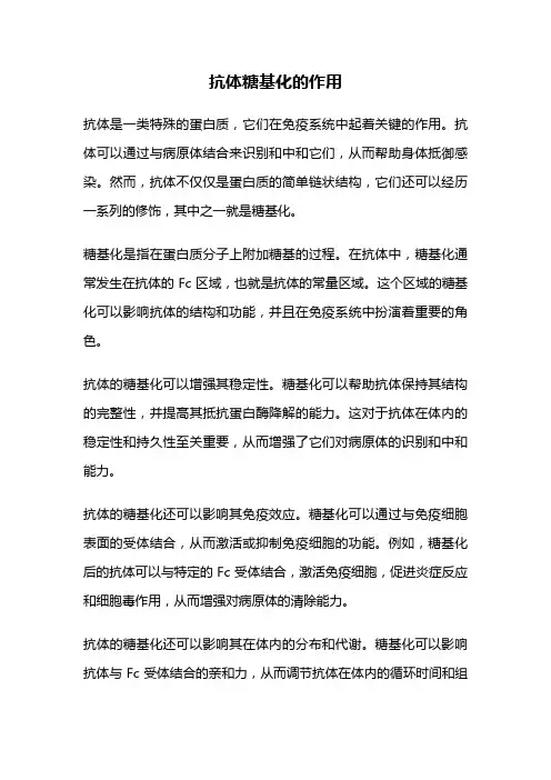 抗体糖基化的作用