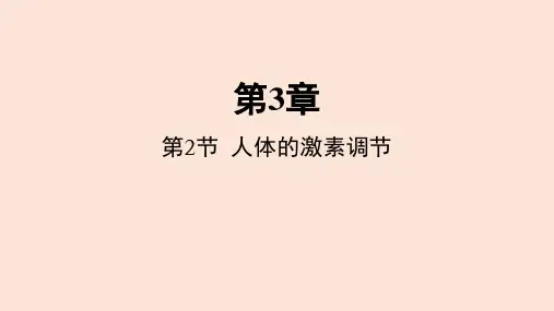 人体的激素调节  课件--2022-2023学年浙教版科学八年级上册
