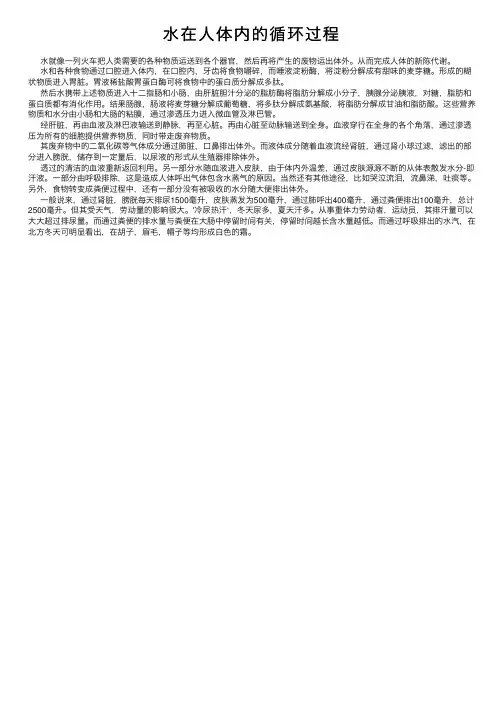 水在人体内的循环过程