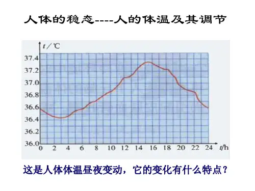 高中生物—人体的体温调节