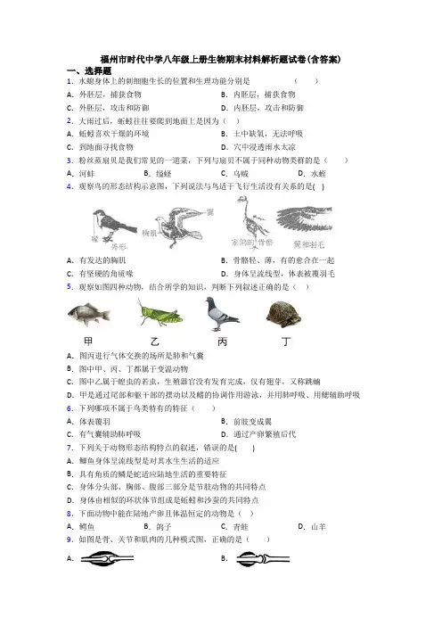 福州市时代中学八年级上册生物期末材料解析题试卷(含答案)