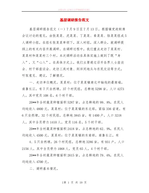基层调研报告范本