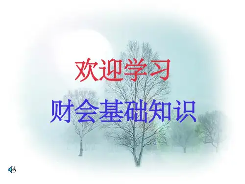 《财会基础知识》PPT课件