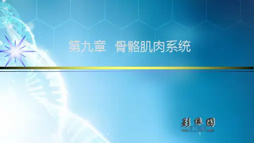 骨肿瘤与肿瘤样病变影像诊断ppt课件