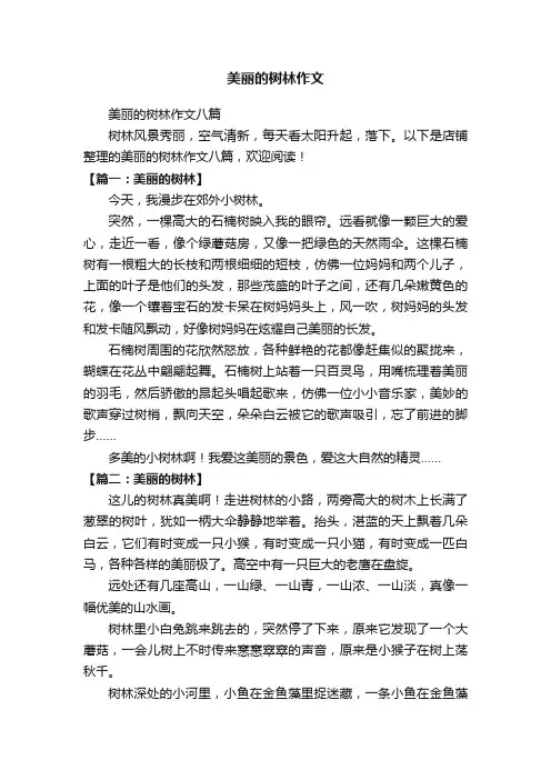 美丽的树林作文