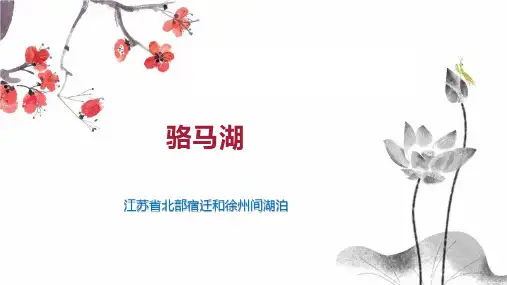 骆马湖    