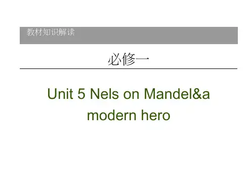2021新高考英语(人教)一轮复习课件：必修1Unit5NelsonMandela-amodernh