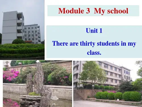 2021年外研版七年级英语上册教学课件：Module 3 Unit 1 (共41张PPT)