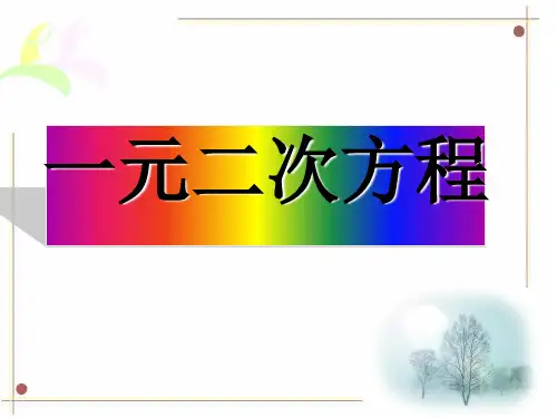 北师大版九年级数学上册第二章一元二次方程解法复习课件