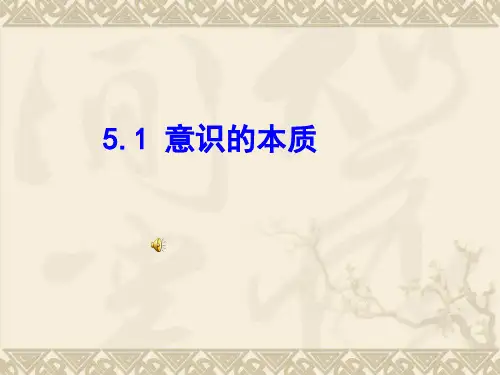 人教版高中政治必修四课件：5.1意识的本质