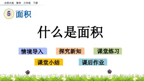 北师大版三年级数学下册第五单元《面积》5.1 什么是面积PPT课件