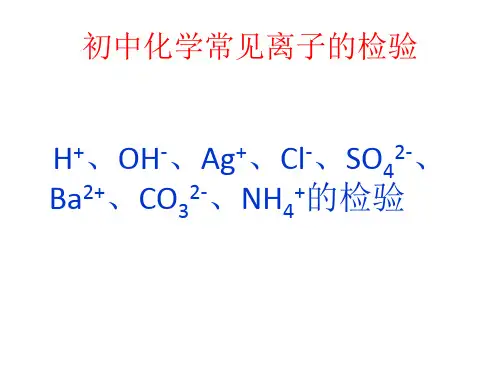 常见离子的检验